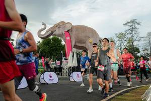 BIB: 
                            <button type="button" onclick="openModal(26528297)" class="btn btn-primary btn-sm float-right btn-popup" data-toggle="modal" data-target=".modal-high-quality">
                        <i class="fas fa-shopping-cart"></i> Add to Cart
                    </button>
                                            <button type="button" onclick="isThisMe(26528297, true)" class="btn btn-success btn-sm float-right btn-popup btn-isme hidden" data-toggle="tooltip" data-placement="bottom" title="นี่คือรูปของคุณใช่ไหม คลิกที่นี่เพื่อเอาเข้าอัลบั้ม">
                        <i class="fas fa-plus"></i> Add to album
                    </button>
                    <button type="button" onclick="isThisMe(26528297, false)" class="btn btn-warning btn-sm float-right btn-popup btn-isnotme hidden">
                        <i class="fas fa-ban"></i> Remove from album
                    </button>